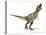 Tyrannosaurus Rex Dinosaur, Artwork-null-Premier Image Canvas