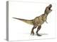 Tyrannosaurus Rex Dinosaur, Artwork-null-Premier Image Canvas