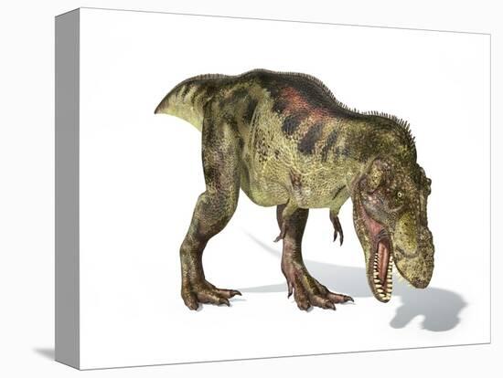 Tyrannosaurus Rex Dinosaur, Artwork-null-Premier Image Canvas