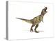 Tyrannosaurus Rex Dinosaur on White Background-null-Stretched Canvas