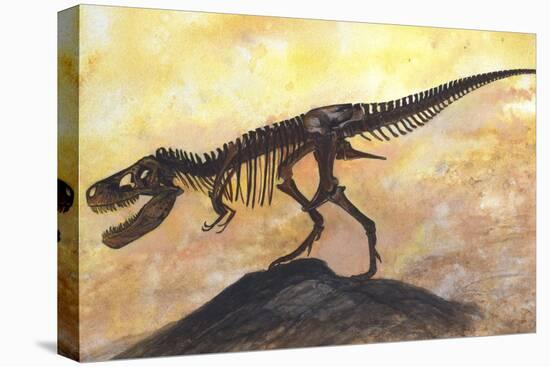 Tyrannosaurus Rex Dinosaur Skeleton-Stocktrek Images-Stretched Canvas