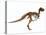Tyrannosaurus Rex Dinosaur Skeleton-null-Stretched Canvas