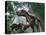 Tyrannosaurus Rex Dinosaurs-Jose Antonio-Premier Image Canvas