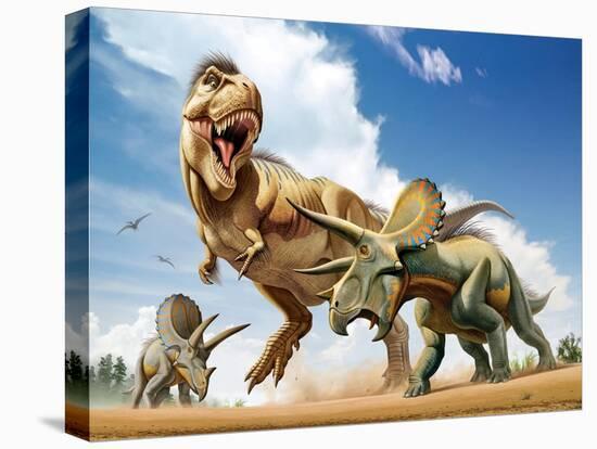 Tyrannosaurus Rex Fighting with Two Triceratops-null-Stretched Canvas