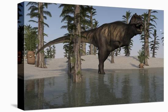 Tyrannosaurus Rex Hunting for its Next Meal in Shallow Water-null-Stretched Canvas