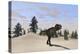 Tyrannosaurus Rex Hunting for its Next Meal-null-Stretched Canvas