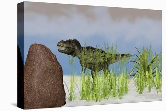 Tyrannosaurus Rex Hunting for its Next Meal-null-Stretched Canvas