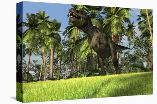 Tyrannosaurus Rex Hunting in a Tropical Landscape-null-Stretched Canvas