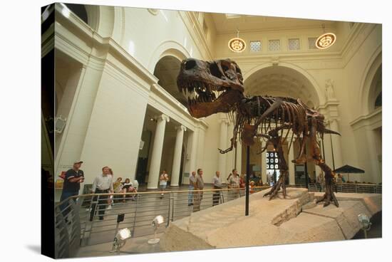 Tyrannosaurus Rex (Sue), Field Museum in Chicago, Illinois, USA-null-Stretched Canvas
