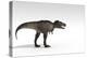 Tyrannosaurus Rex, White Background-null-Stretched Canvas