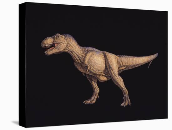 Tyrannosaurus Rex-Joe Tucciarone-Premier Image Canvas