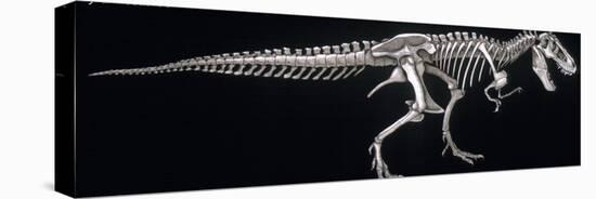 Tyrannosaurus Skeleton, Dinosaurs-Encyclopaedia Britannica-Stretched Canvas