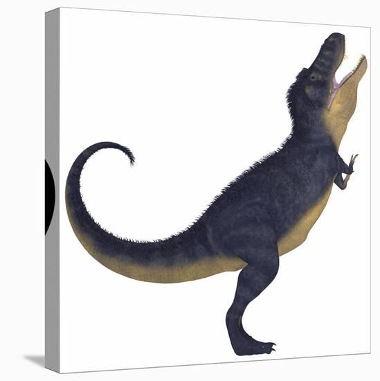 Tyranosaurus Rex, a Large Carnivore of the Cretaceous Period-null-Stretched Canvas