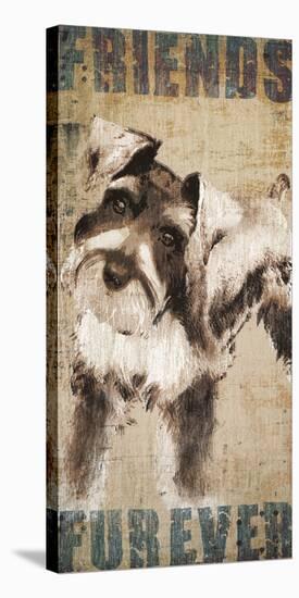 Tyson-Tandi Venter-Stretched Canvas