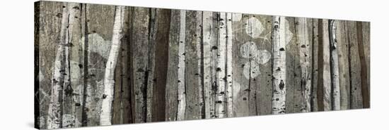 Silver Lining-Tandi Venter-Stretched Canvas