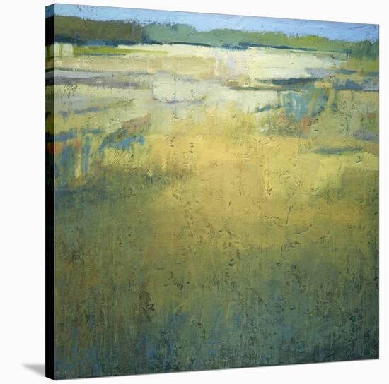 Early at the Marsh-Jeannie Sellmer-Stretched Canvas