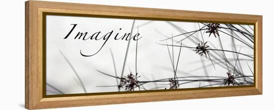 Imagine: Sweet Grass-Nicole Katano-Framed Stretched Canvas