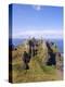 Dunluce Castle, County Antrim, Northern Ireland, UK, Europe-Charles Bowman-Premier Image Canvas