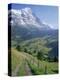 Eiger, Grindelwald, Berner Oberland, Switzerland-Jon Arnold-Premier Image Canvas