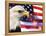 Eagle, Firework, Patriotism in the USA-Bill Bachmann-Framed Premier Image Canvas