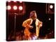 Singer Mick Jagger Performing-David Mcgough-Premier Image Canvas