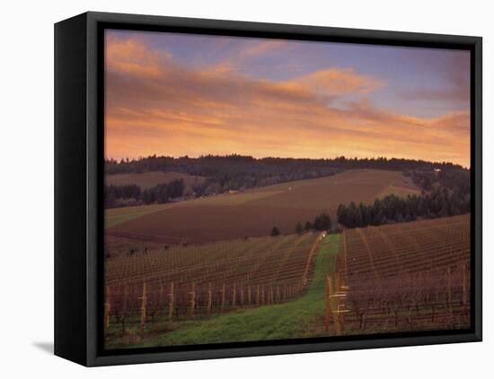 Early Spring over Knutsen Vineyards in Red Hills above Dundee, Oregon, USA-Janis Miglavs-Framed Premier Image Canvas