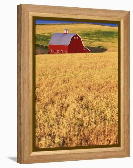 Red Barn on Rolling Hills-Stuart Westmorland-Framed Premier Image Canvas