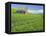 Barn and Vehicle Tracks in Wheat Field in Idaho-Darrell Gulin-Framed Premier Image Canvas