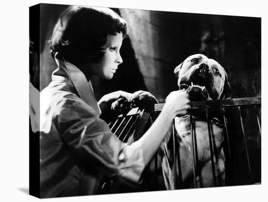 Eyes Without A Face, (aka Les Yeux Sans Visage), Edith Scob, 1960-null-Stretched Canvas