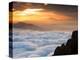 Above the Horizon-Art Wolfe-Premier Image Canvas