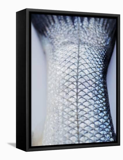 A Fishtail-Herbert Lehmann-Framed Premier Image Canvas