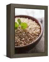 Wholegrain Rice in a Terracotta Bowl-Malgorzata Stepien-Framed Premier Image Canvas