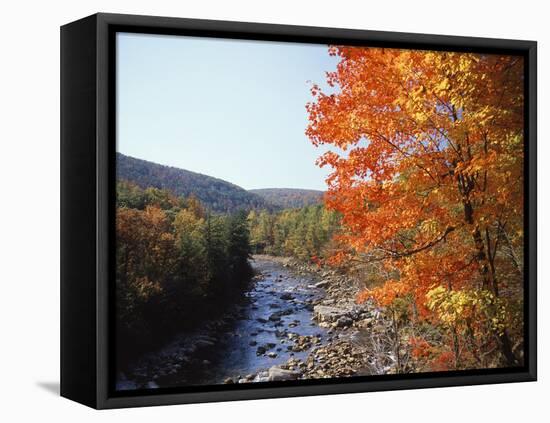 North Fork of the Potomac River, Potomac State Forest, Maryland, USA-Adam Jones-Framed Premier Image Canvas