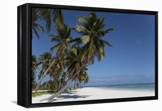 Punta Cana, Dominican Republic, West Indies, Caribbean, Central America-Angelo Cavalli-Framed Premier Image Canvas