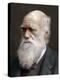Charles Darwin, British Naturalist, 1878-Lock & Whitfield-Premier Image Canvas