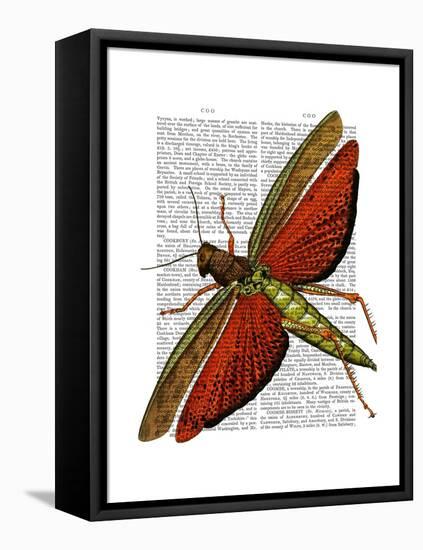 Vintage Grasshopper-Fab Funky-Framed Stretched Canvas