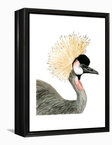 Watercolor Crested Crane-Naomi McCavitt-Framed Stretched Canvas
