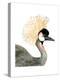 Watercolor Crested Crane-Naomi McCavitt-Stretched Canvas