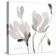 Tonal Magnolias II-Lanie Loreth-Stretched Canvas