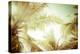 Abstract Summer Background with Tropical Palm Tree Leaves-Perfect Lazybones-Premier Image Canvas
