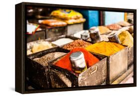 Traditional Spices Market in India.-Curioso Travel Photography-Framed Premier Image Canvas