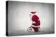 Santa Claus Rides a Bicycle-olly2-Premier Image Canvas