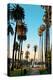 Los Angeles Downtown Park View with Palm Trees.-Songquan Deng-Premier Image Canvas
