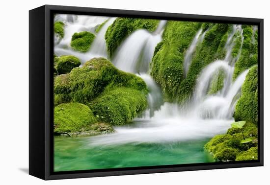 Natural Spring Waterfall Surrounded by Moss and Lush Foliage.-Liang Zhang-Framed Premier Image Canvas
