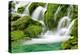 Natural Spring Waterfall Surrounded by Moss and Lush Foliage.-Liang Zhang-Premier Image Canvas