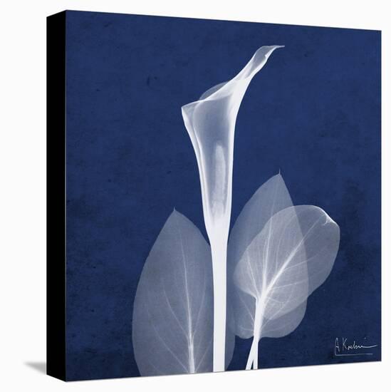 One Indigo Calla Lily-Albert Koetsier-Stretched Canvas