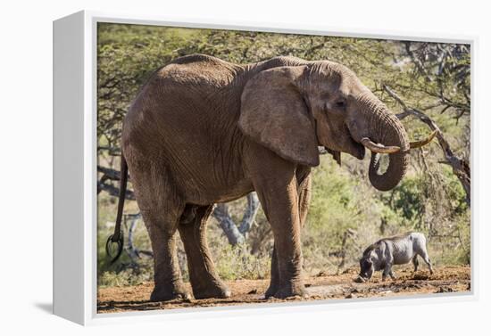 East Kenya, Chyulu Hills, Old Donyo Wuas Lodge, Mbirikani-Alison Jones-Framed Premier Image Canvas