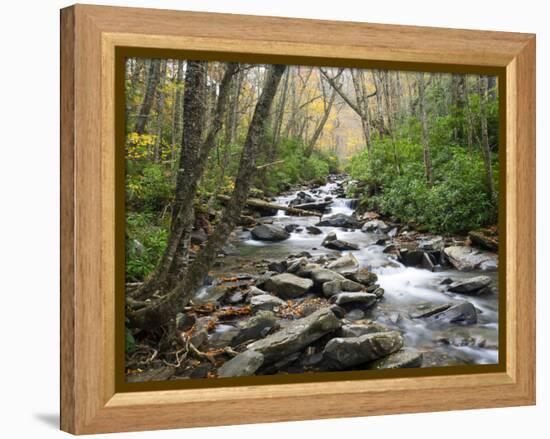 Tennessee, Great Smoky Mountains National Park, Alum Cave Creek-Jamie & Judy Wild-Framed Premier Image Canvas