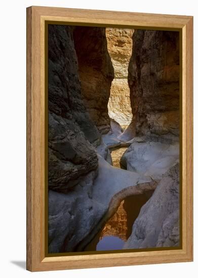 USA, Arizona, Grand Canyon National Park. Canyon Reflections-Don Grall-Framed Premier Image Canvas
