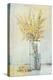 Yellow Spray in Vase I-Tim OToole-Stretched Canvas